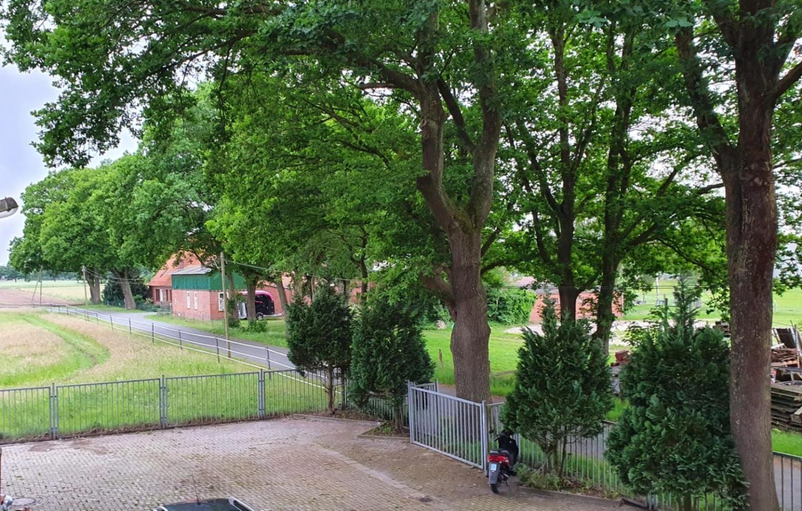 Grosse Loft In Idyllischer Lage Delmenhorst Eksteriør billede